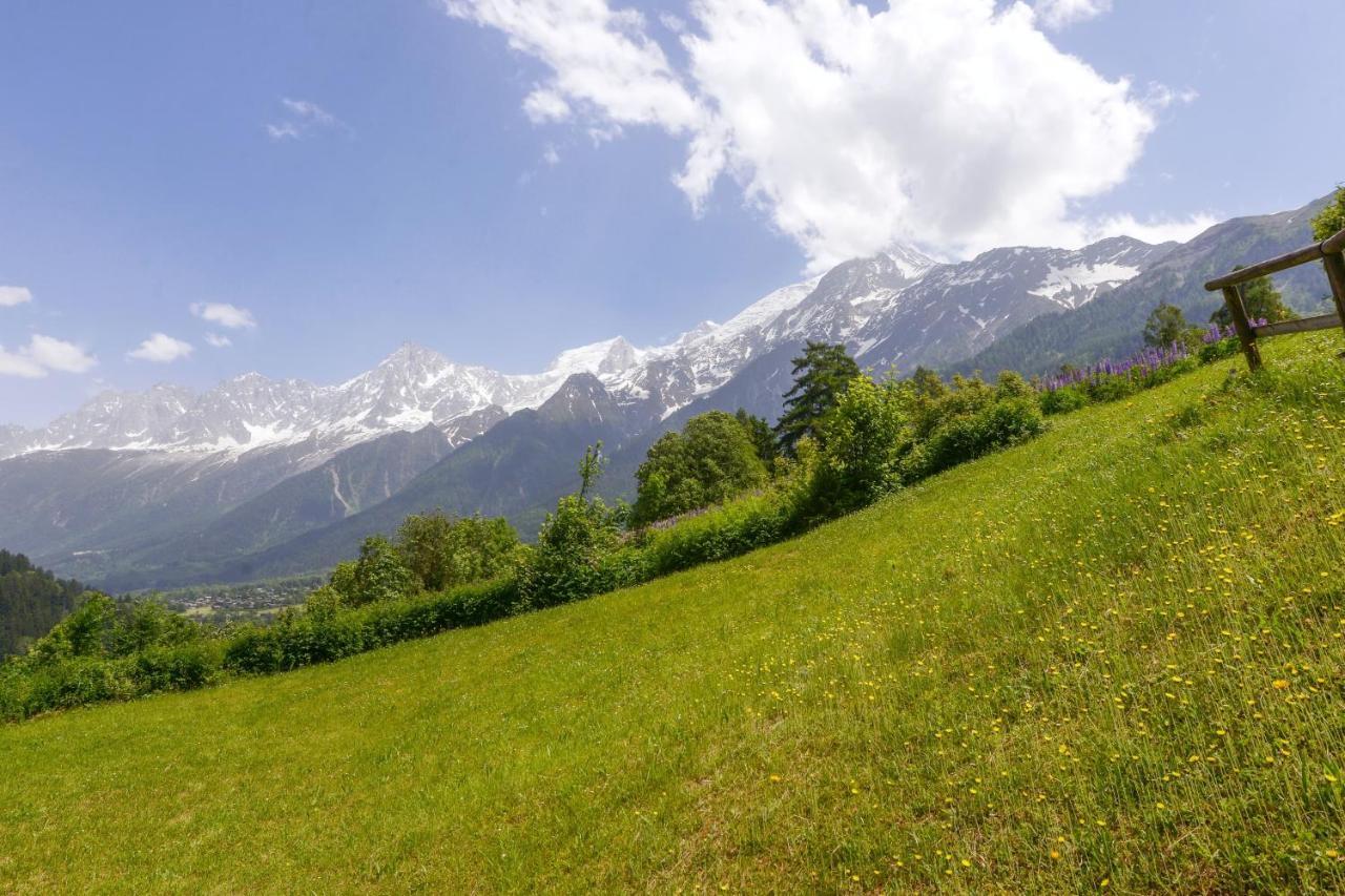 Appartement Chaleureux Les Houches 29 M² Piscine Partagee Exterior foto